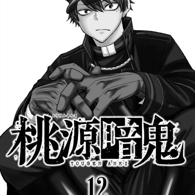 Tougen Anki 12 (Japanese Edition)