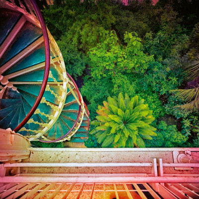 Greenhouses-Cathedrals For Plants