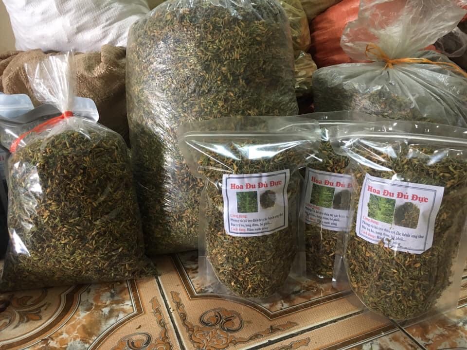 Bông đu đủ đực sấy lạnh xanh đẹp đặc sản Kon Tum