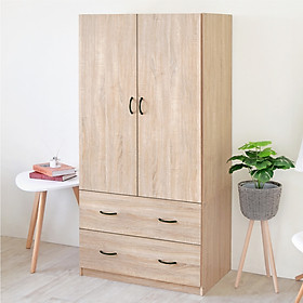 TỦ QUẦN ÁO ECOFURNIX GT2123 2 CÁNH HIỆN ĐẠI