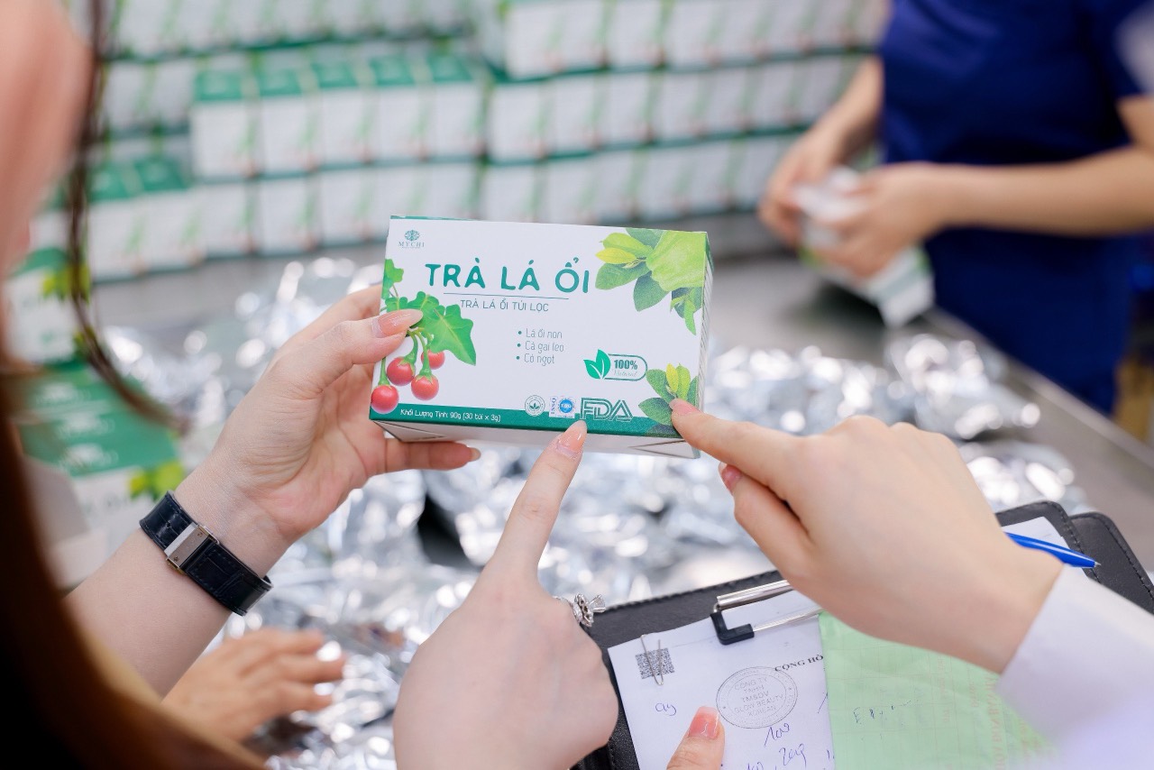 Giá Sỉ 10 Hộp Trà Lá Ổi Mychi Giam Cân Tan Mỡ Ngừa mỡ máu tiểu đường