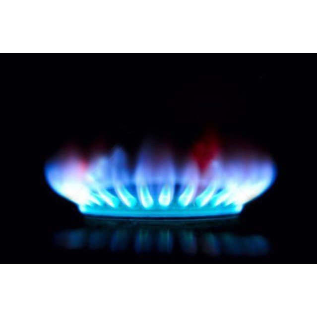 Bếp Gas Đôi Mặt Kính Sen Đồng WINDO 719GL-A Cao cấp Tặng Bộ Van Dây - Hàng Chính Hãng