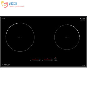 Bếp từ Eurosun EU-T898G Hàng Chính Hãng