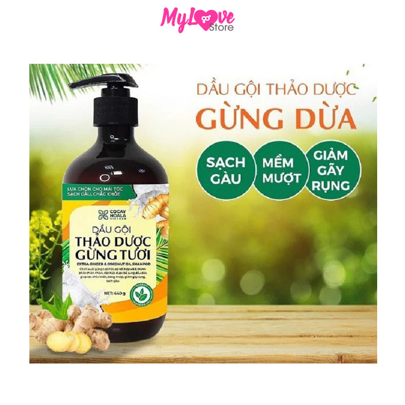 Dầu Gội Gừng Dừa Hữu Cơ Cocayhoala Ngăn Rụng Tóc Kích Thích Mọc Tóc - Giảm Gàu - Ngừa Cảm Lạnh -Dưỡng Tóc Mềm Mượt Chắc Khỏe, Chai 440g