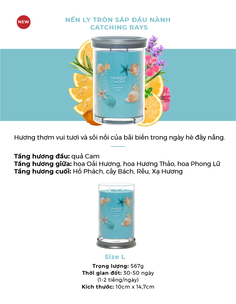 Nến ly tròn sáp đậu nành Yankee Candle size L (567g) - Catching Rays
