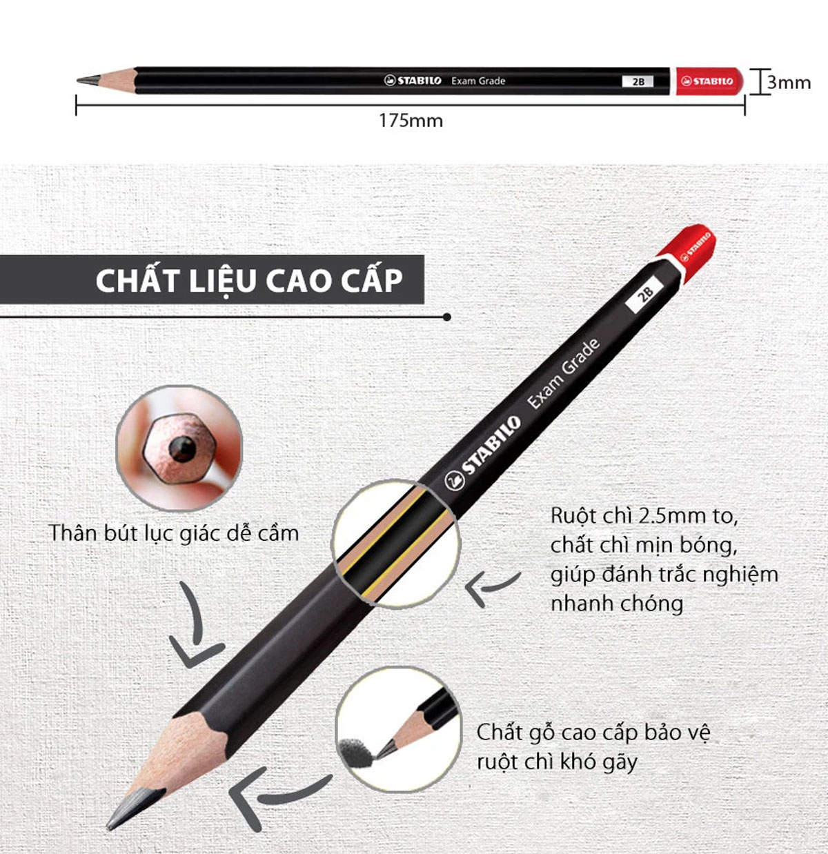 Hộp bút chì gỗ STABILO Exam Grade 288(T) HB/2B - Hộp 12 bút chì 2B thân tam giác đen đuôi màu (PC288T-AT/12-2B)
