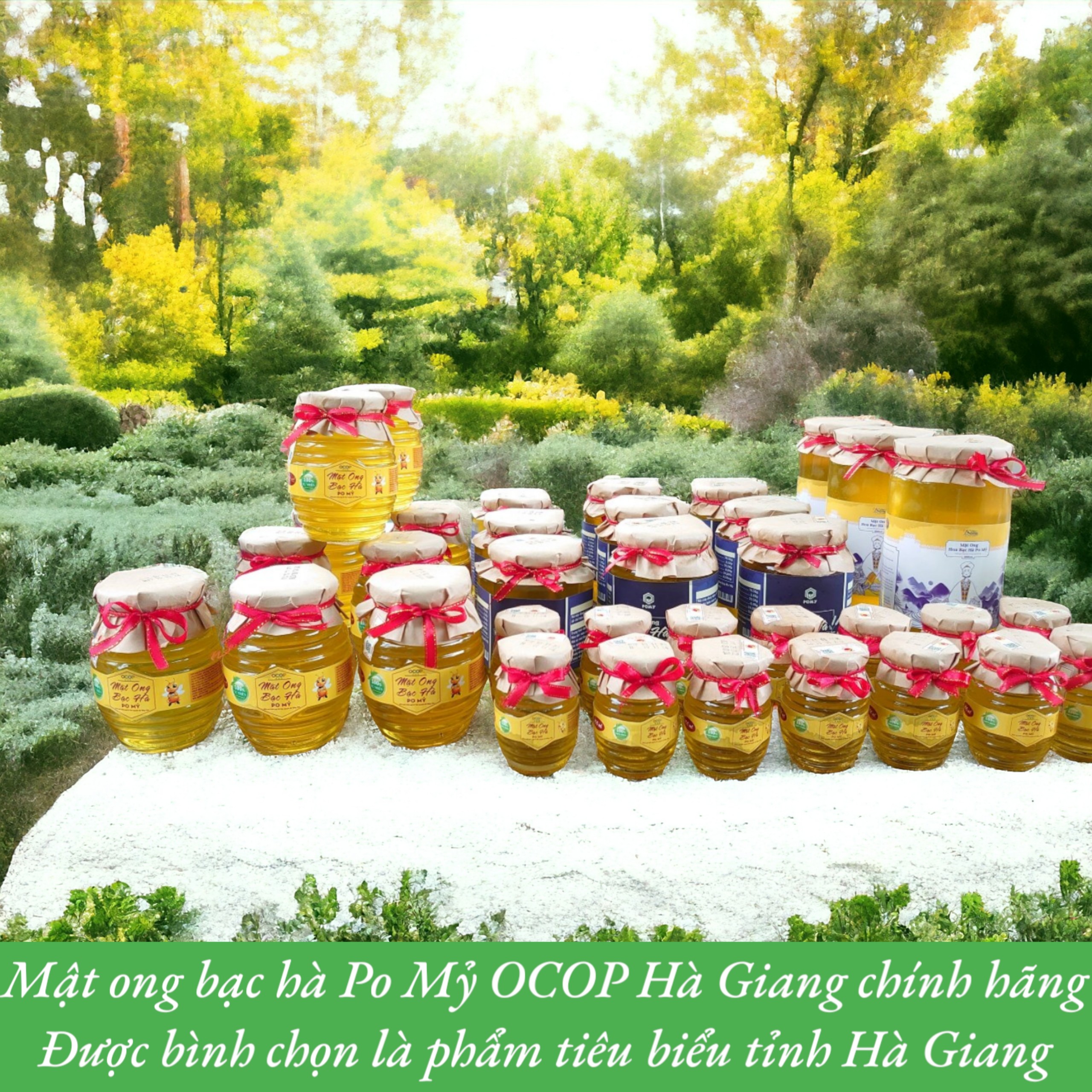 MẬT ONG BẠC HÀ CHÍNH HÃNG PO MỶ OCOP HÀ GIANG, MẬT ONG BẠC HÀ NGUYÊN CHẤT HÀ GIANG