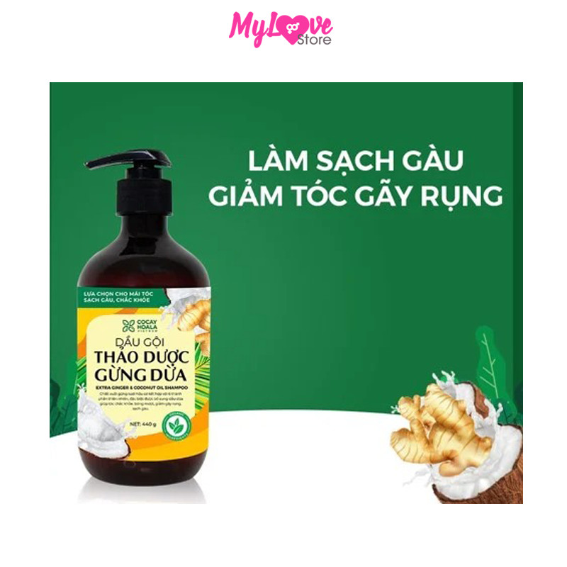 Dầu Gội Gừng Dừa Hữu Cơ Cocayhoala Ngăn Rụng Tóc Kích Thích Mọc Tóc - Giảm Gàu - Ngừa Cảm Lạnh -Dưỡng Tóc Mềm Mượt Chắc Khỏe, Chai 440g