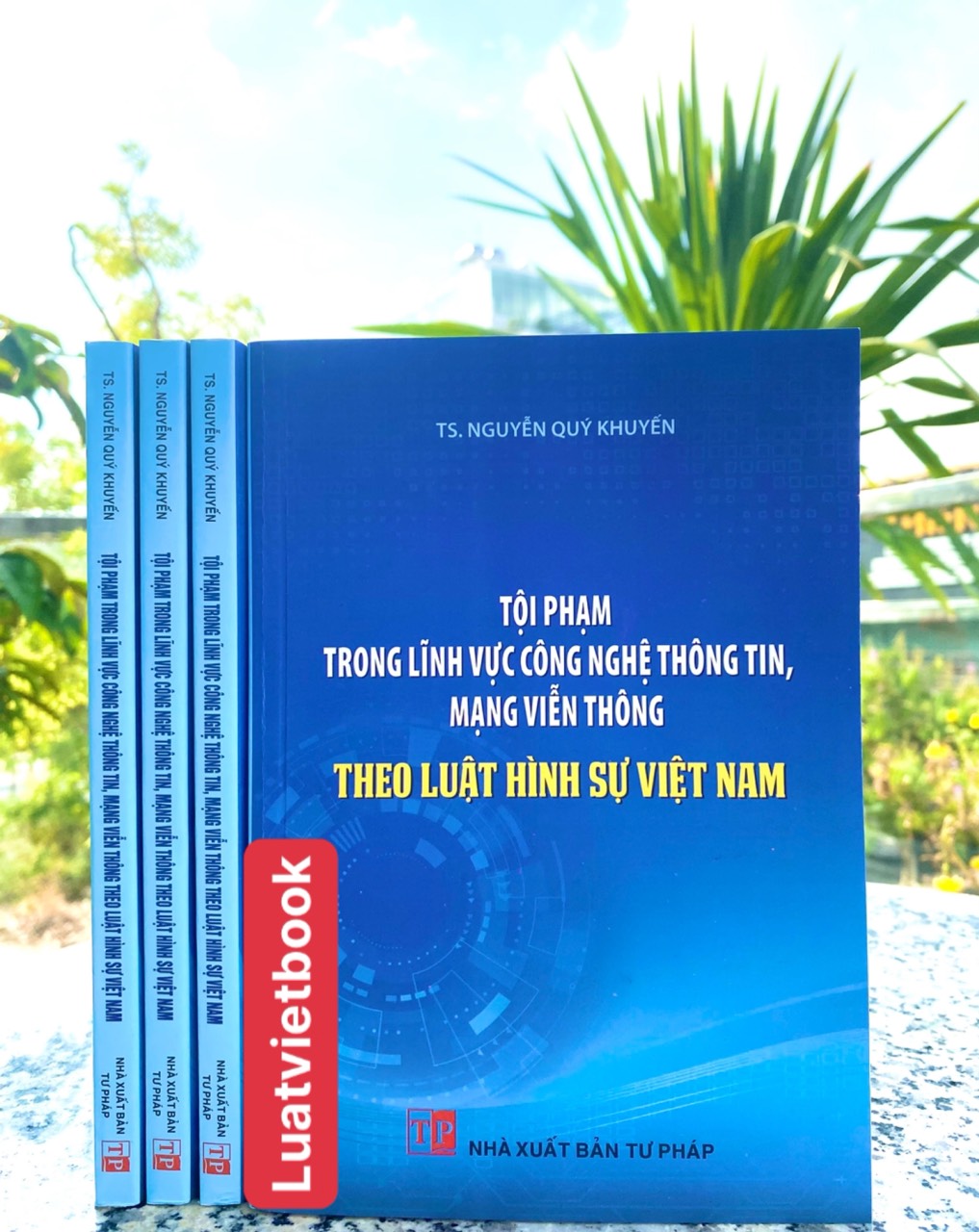 Tội Phạm Trong Lĩnh Vực Công Nghệ Thông Tin, Mạng Viễn Thông Theo Luật Hình Sự Việt Nam