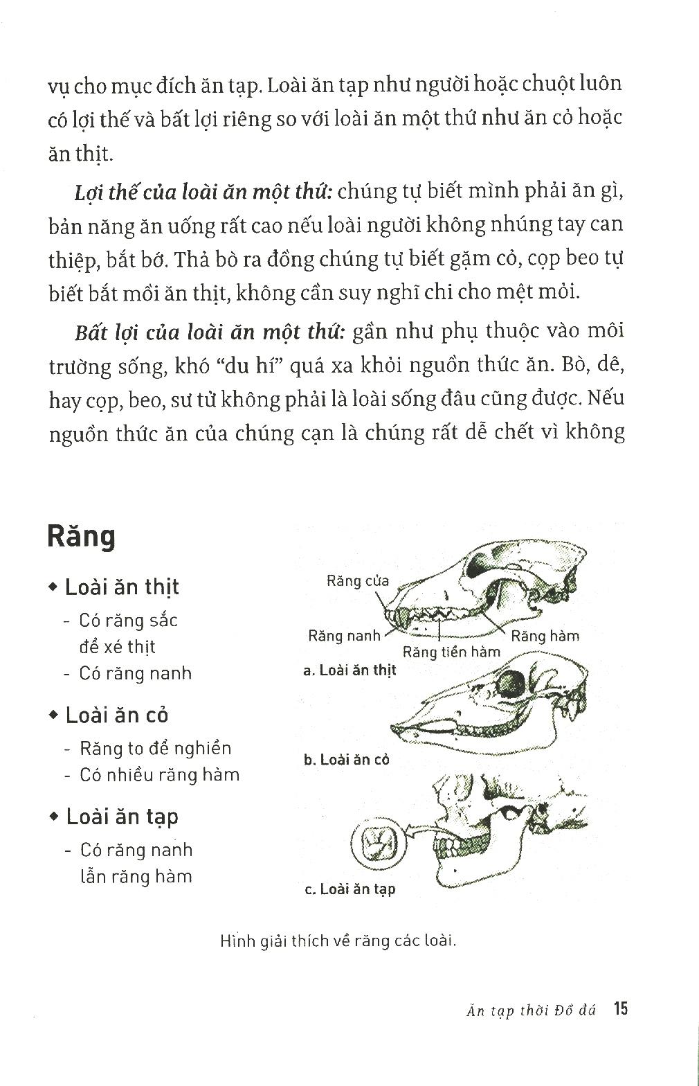 Ăn Gì Cho Không Độc Hại - Tạp Bút (Tái Bản Lần 6-2020)
