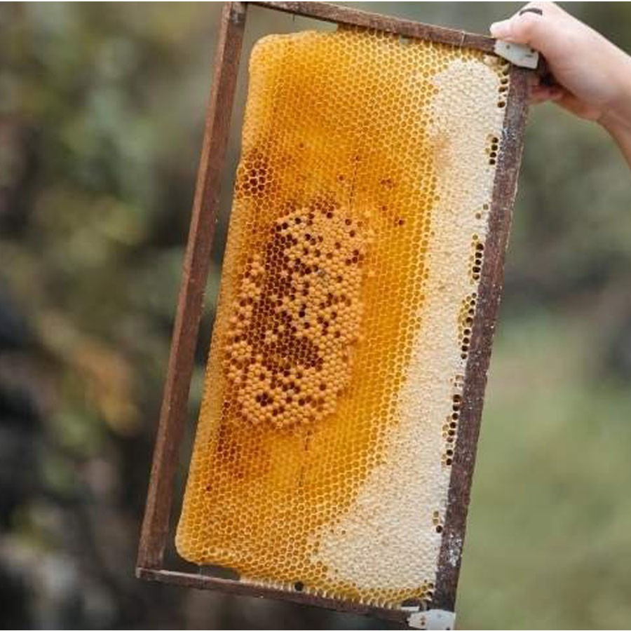 Mật ong tinh nghệ 360g Honimore - mật ong phối trộn tinh nghệ cải thiện tiêu hoá