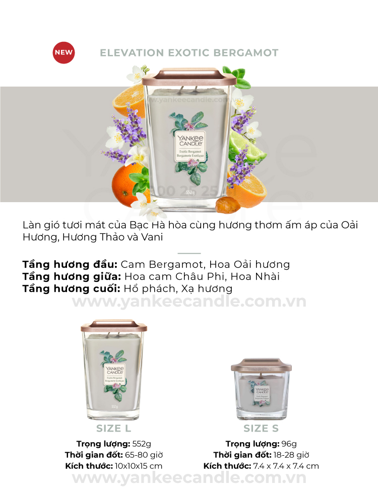 Nến ly vuông Elevation size L - Exotic Bergamot (552g)