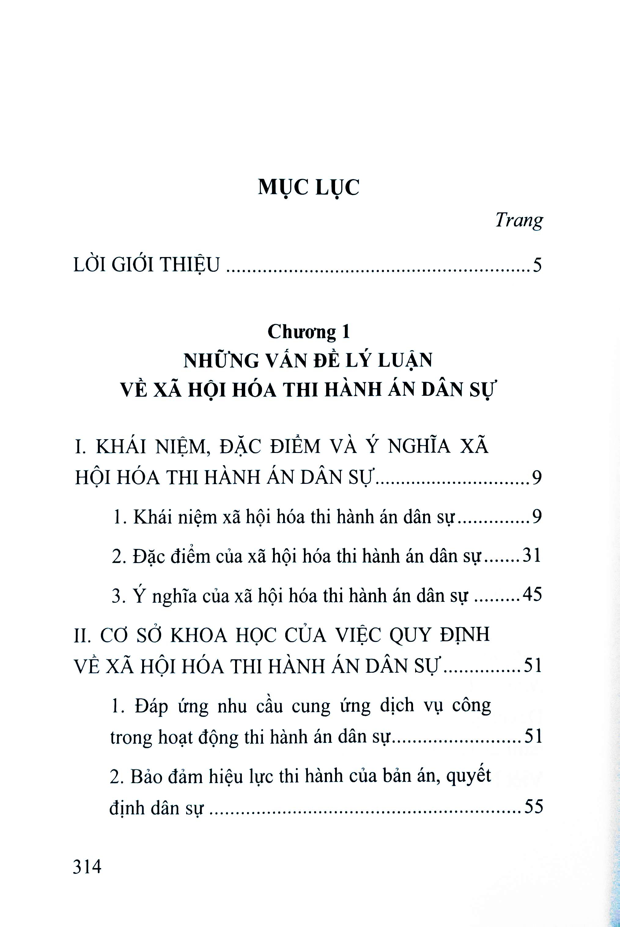 Xã Hội Hóa Thi Hành Án Dân Sự Ở Việt Nam (Sách Chuyên Khảo) - DH