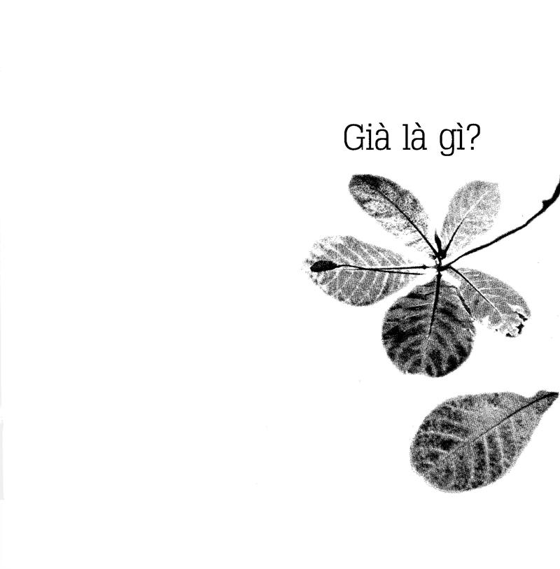 Già Ơi... Chào Bạn!