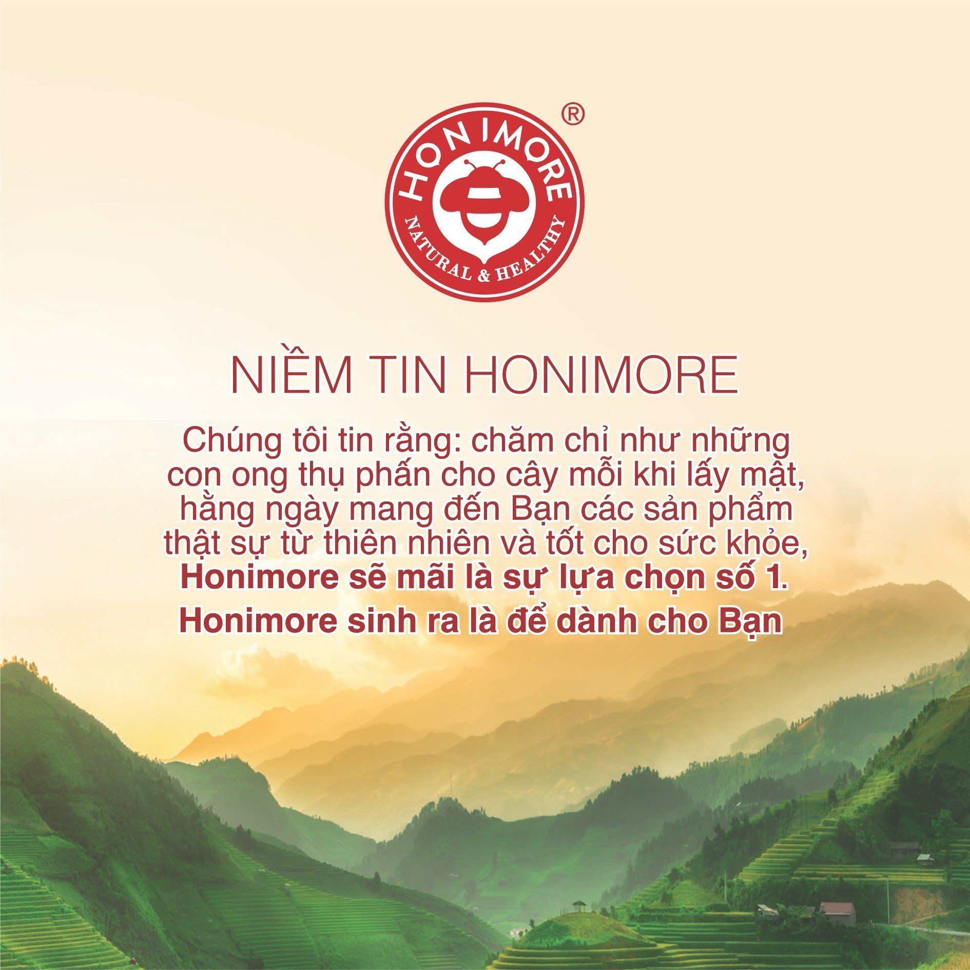 Combo Mật ong tinh bột nghệ Honimore 360g và Mật ong Hoa Vải Thiều 360g - tốt cho dạ dày, đẹp da