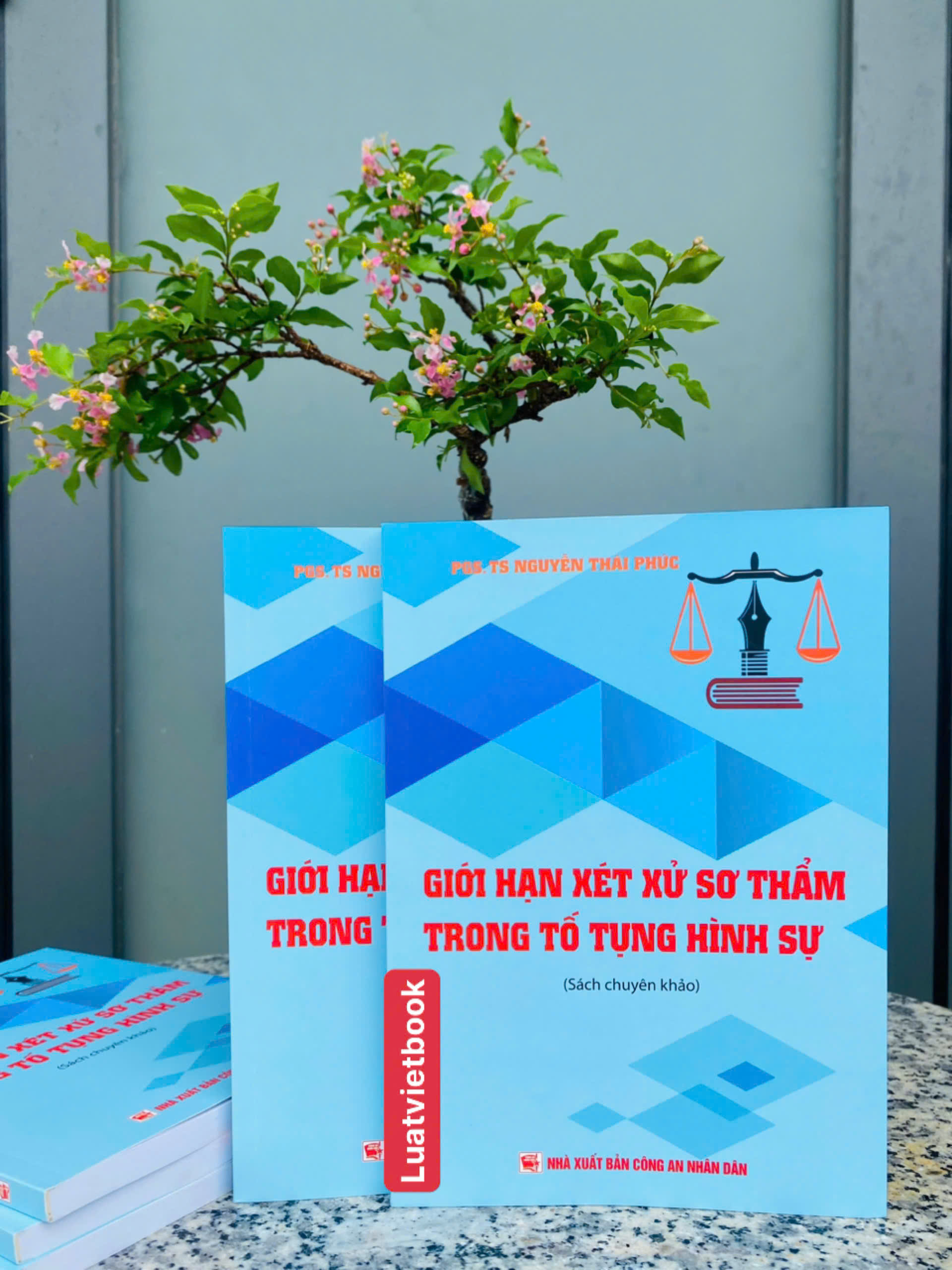 Giới Hạn Xét Xử Sơ Thẩm Trong Tố Tụng Hình Sự