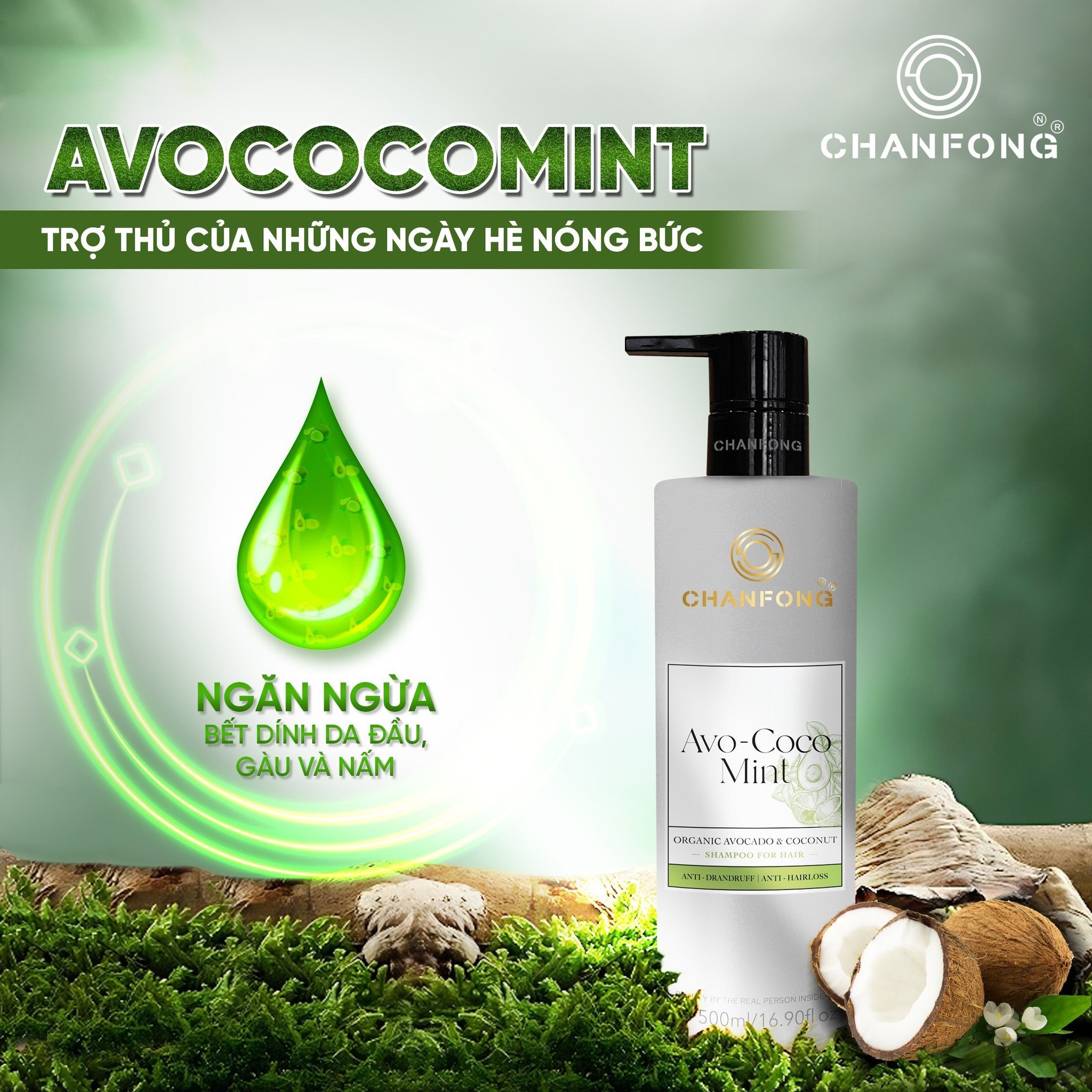 Dầu gội ORGANIC Tinh chất Bơ - Dừa - Bạc hà Chanfong Thái Lan - 500ml