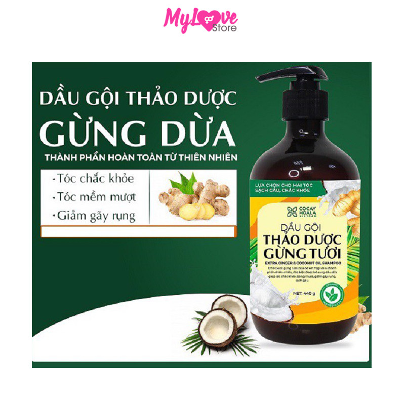 Dầu Gội Gừng Dừa Hữu Cơ Cocayhoala Ngăn Rụng Tóc Kích Thích Mọc Tóc - Giảm Gàu - Ngừa Cảm Lạnh -Dưỡng Tóc Mềm Mượt Chắc Khỏe, Chai 440g