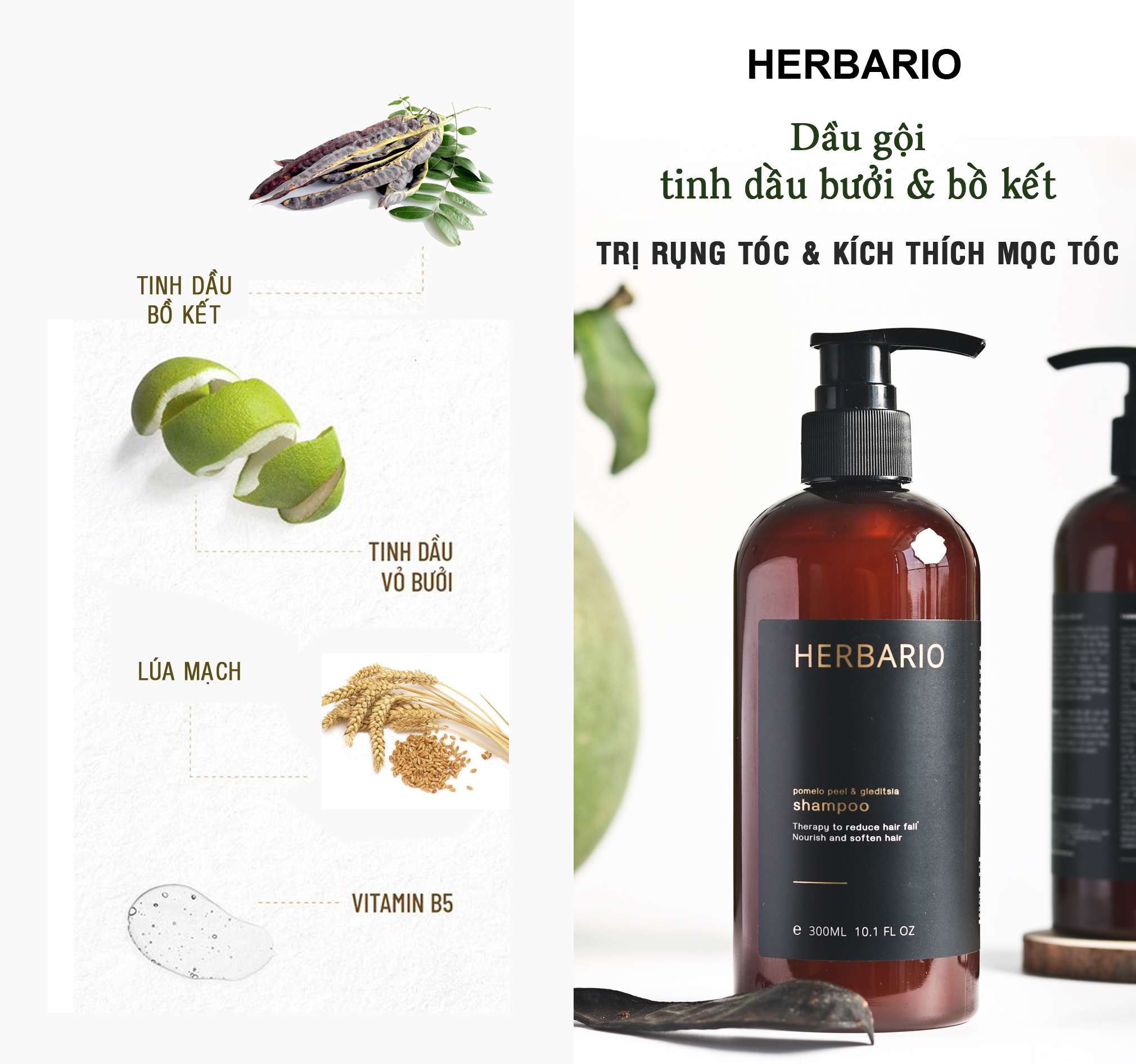 Dầu gội vỏ bưởi & Bồ kết 300ml sạch da đầu gàu, kích thích mọc tóc, giảm rụng tóc