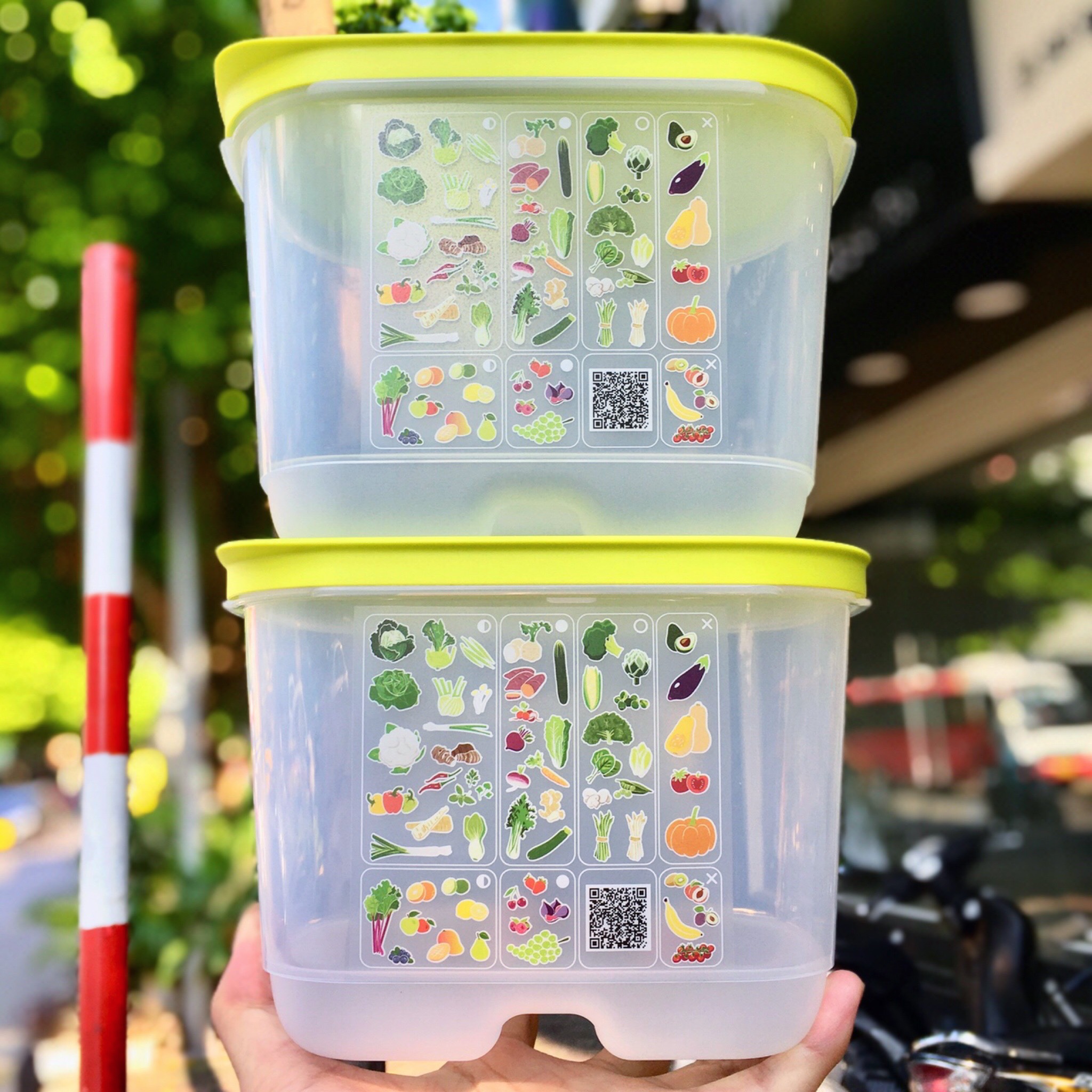 Bộ Hộp Tupperware Trữ Mát Có Nút Hô Hấp Ventsmart 6 Hộp - Nữ Hoàng Trữ Mát - Tươi Đến 3 Tuần