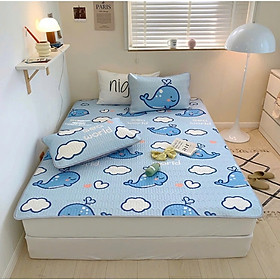 Chiếu điều hòa latex tencel Lidaco siêu mát cao cấp