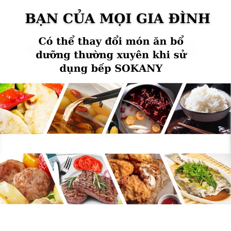 Bếp điện từ CẢM ỨNG SOKANY SK-07048 công suất 2200W, bếp từ đơn đa năng với 8 chế độ nấu - HÀNG CHÍNH HÃNG