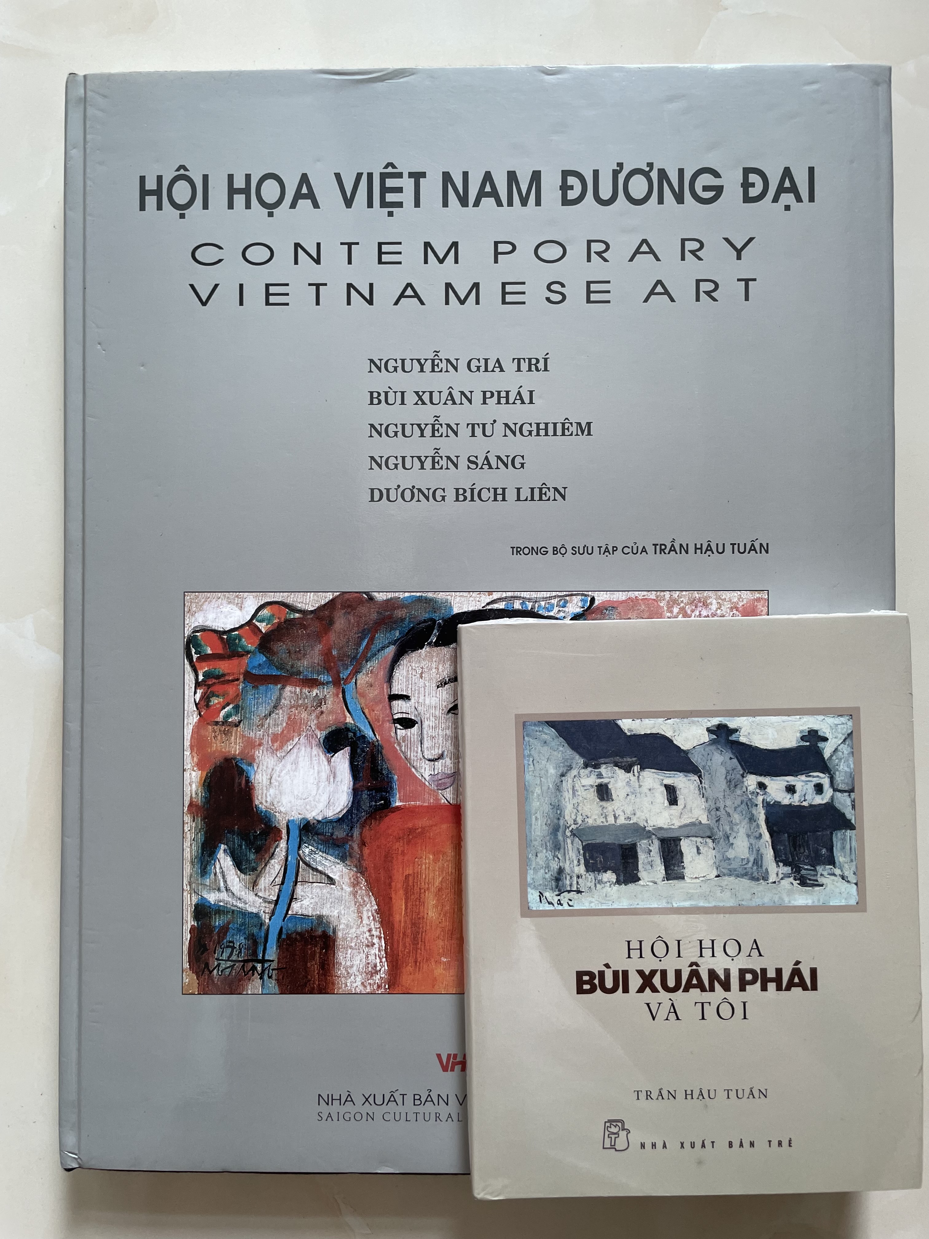 CÁC HOẠ SĨ VIỆT NAM ĐƯƠNG ĐẠI (BÌA CỨNG)