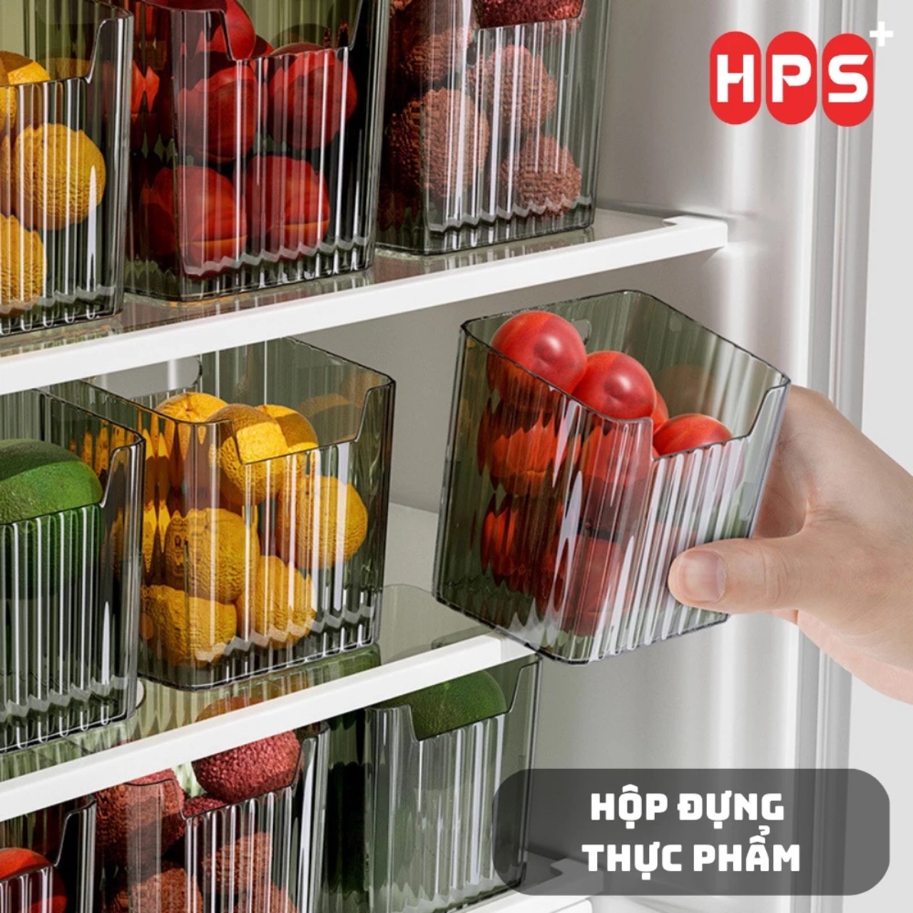 Hộp Đựng Thực Phẩm Tủ Lạnh, Hộp Bảo Quản Hành Tỏi Rau Củ Có Móc Treo Dán Tường Tiện Lợi - HÀNG CHÍNH HÃNG MINIIN