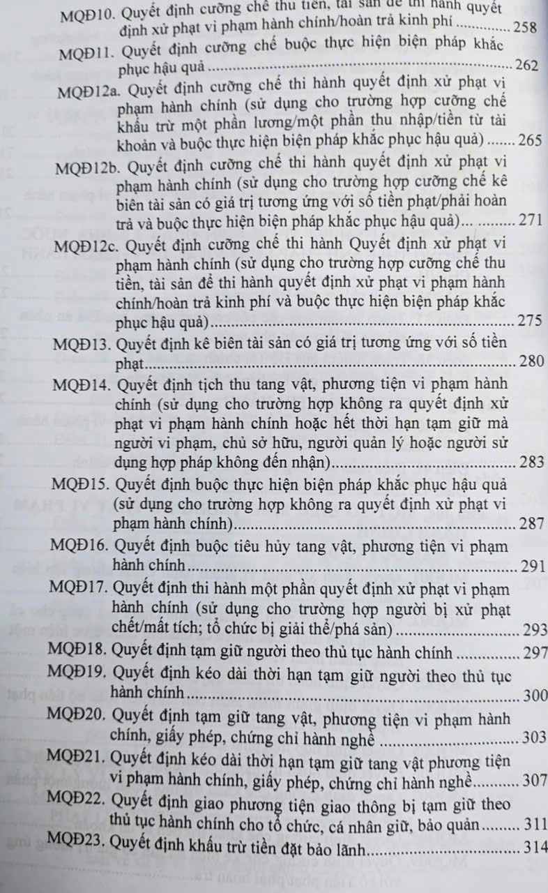 Luật Xử Lý Vi Phạm Hành Chính (sửa đổi, bổ sung năm 2025) các văn bản quy định chi tiết và biện pháp thi hành