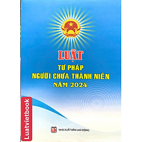 Luật Tư Pháp Người Chưa Thành Niên Năm 2024