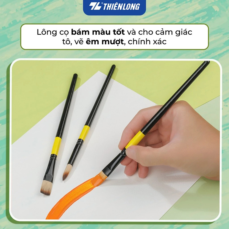 Bộ 5 Cọ vẽ màu nước Thiên Long đầu Round/ Flat/ Filbert - Cọ lông mềm cho cảm giác tô, vẽ êm mượt
