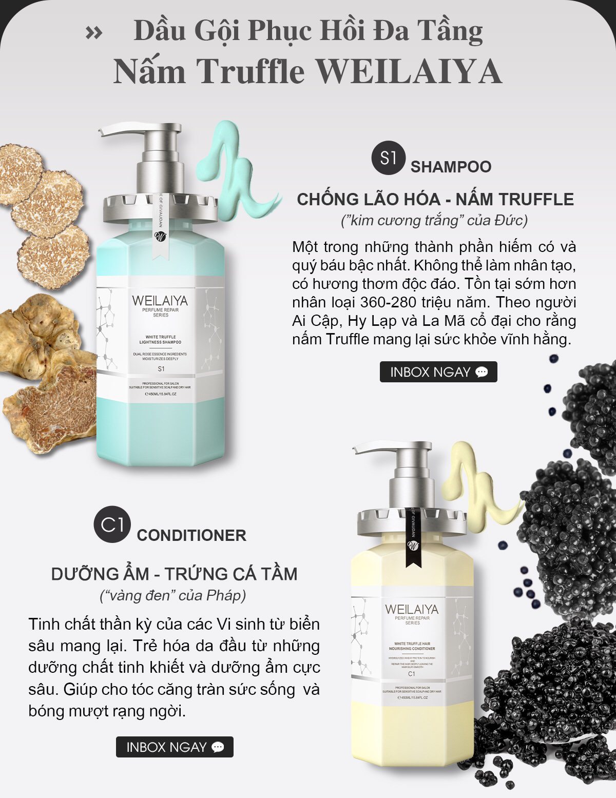 Combo Dầu gội xả phục hồi đa tầng nấm Truffle Weilaiya hương nước hoa và Dầu gội gừng Weilaiya cao cấp 400ml