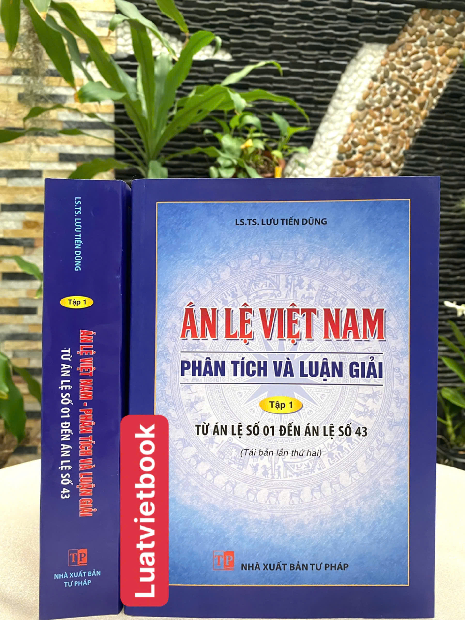 Án Lệ Việt Nam- Phân Tích và Luận Giải tập 1: Từ án lệ số 1 đến án lệ số 43