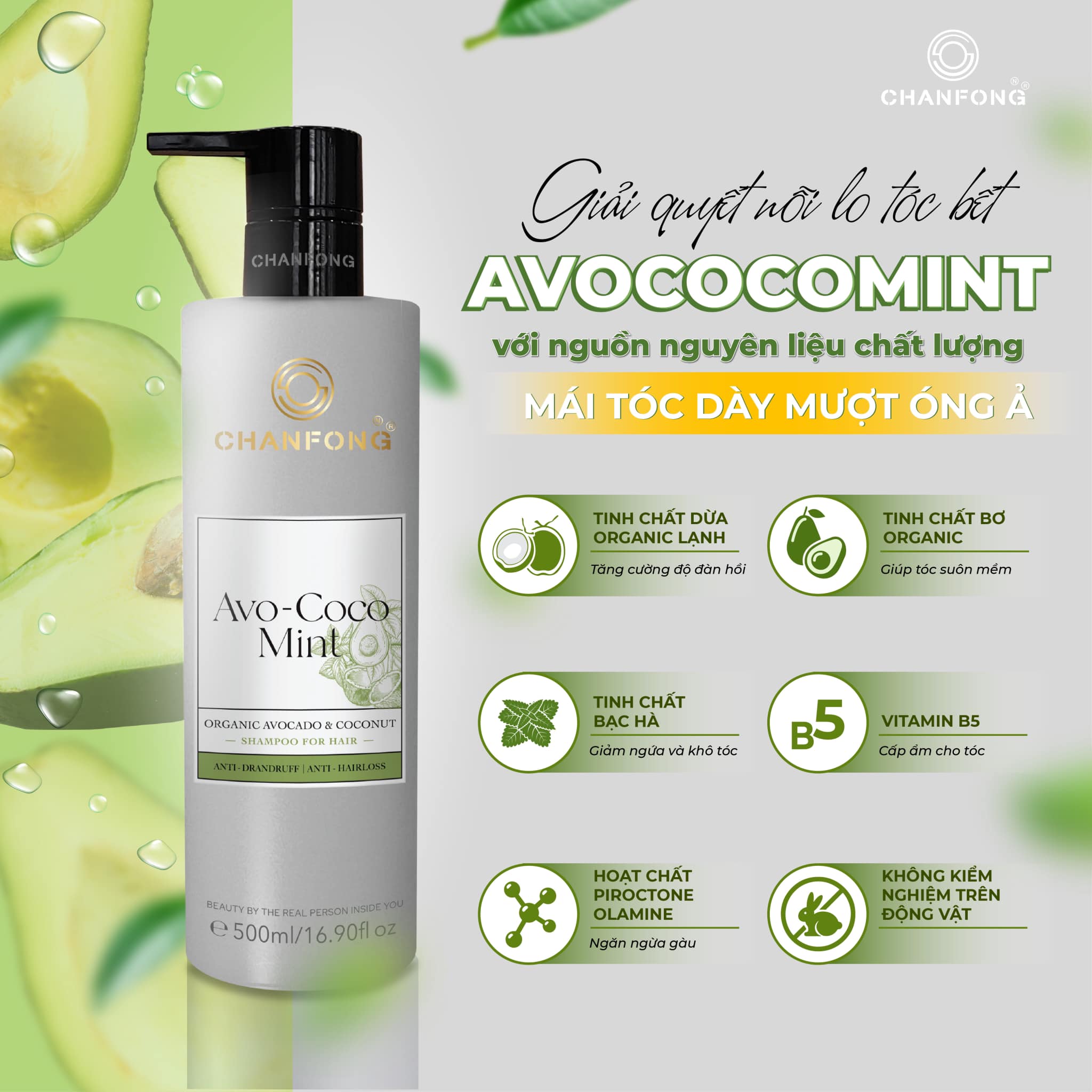 Dầu gội ORGANIC Tinh chất Bơ - Dừa - Bạc hà Chanfong Thái Lan - 500ml