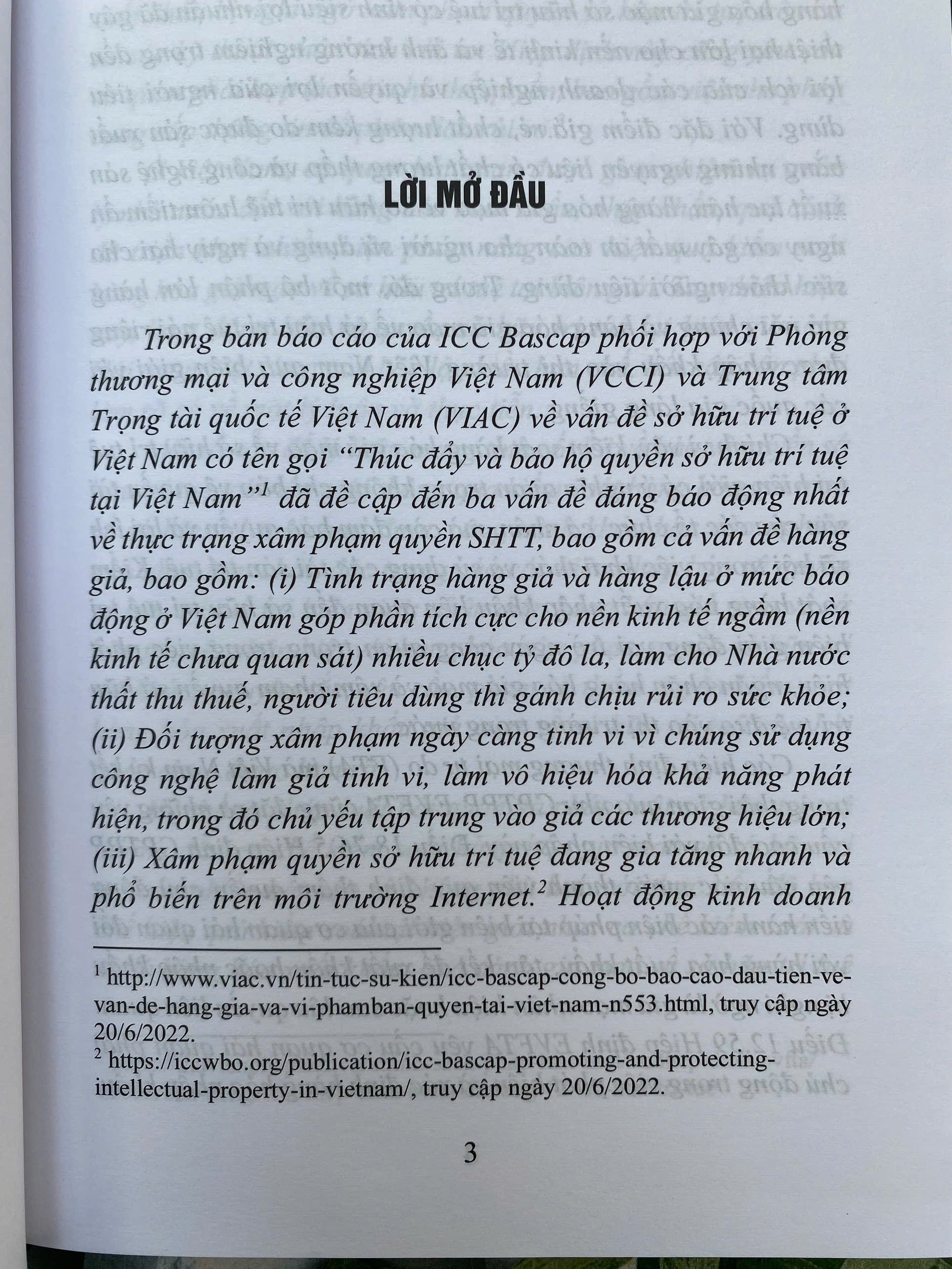 Kiểm Soát Hàng Hoá Giả Mạo Về Sở Hữu Trí Tuệ Tại Biên Giới Của Hải Quan Việt Nam