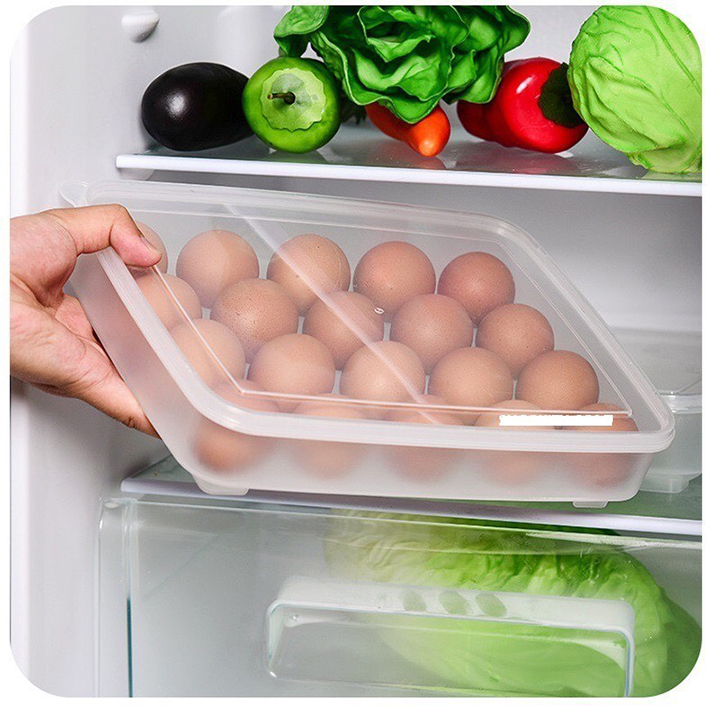 Hộp đựng trứng 24 quả cao cấp - HDTS