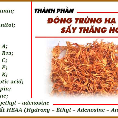 Đông trùng hạ thảo mật ong rừng Phúc Khang 300g - Hũ thủy tinh cao cấp - Công nghệ sấy thăng hoa - Chống lão hóa ,phòng ngừa ung thư ,tim mạch ,bồi bổ cơ thể ...làm quà biếu , quà tặng , bảo vệ sức khỏe