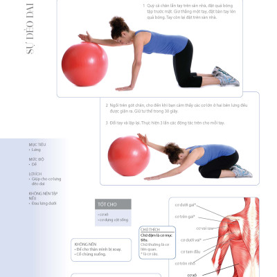 70 Bài Tập Cải Thiện Vóc Dáng Tăng Sự Dẻo Dai (Bản in màu)