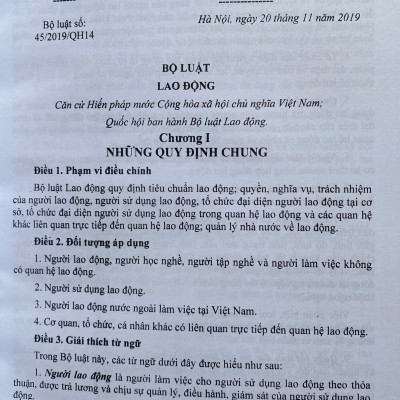 Bộ Luật Lao Động và Hệ Thống Thang Bảng Lương, Phụ Cấp, Chế Độ Tiền Thưởng Đối Với Người Hưởng Lương Làm Việc Trong Các Cơ Quan, Đơn Vị Và Doanh Nghiệp