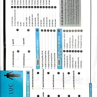 Đồ Giải Kinh Lạc Huyệt Vị - Nam Giới (Tái Bản 2023 )