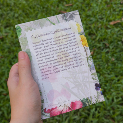 BỘ 100 POSTCARD PETALA & FOLIA - Minh Họa Thực Vật Nghệ Thuật - Giấy Mỹ Thuật 300g Cao Cấp - Nho Xanh 