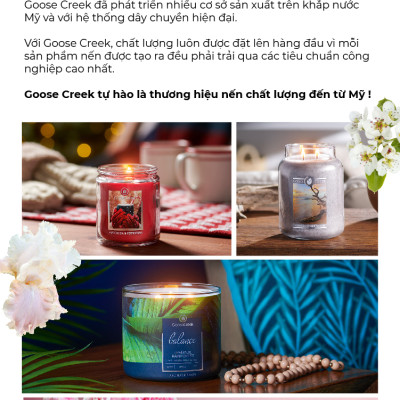 Nến ly Goose Creek (200g) - Cotton Vanilla Breeze