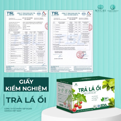 Trà Lá Ổi Mychi chính hãng giam cân, tan mỡ và ngừa mỡ máu