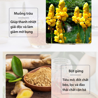 Trà đốt mỡ và kiểm soát cân nặng Night Diet Tea Orihiro Nhật Bản thải độc cơ thể, cải thiện chất lượng giấc ngủ gói 24 túi lọc JN-OR-NI01