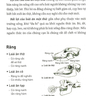 Ăn Gì Cho Không Độc Hại - Tạp Bút (Tái Bản Lần 6-2020)
