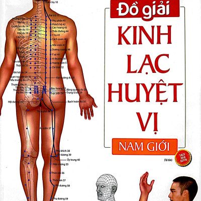 Đồ Giải Kinh Lạc Huyệt Vị - Nam Giới