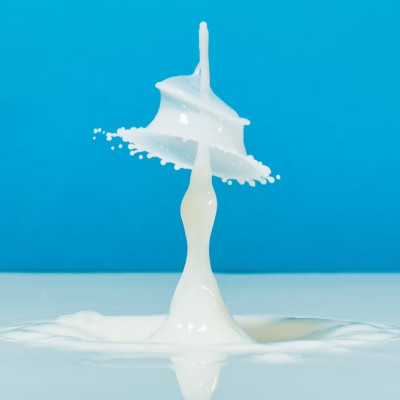 Dầu Gội 2 Trong 1  Dành Cho Cả Gia Đình Kracie Ma & Me Latte 2 In 1 Rinse In Shampoo 490 mL