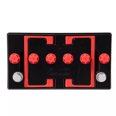 ẮC QUY  NS60LS 12V-45AH ( tặng acid châm bình )