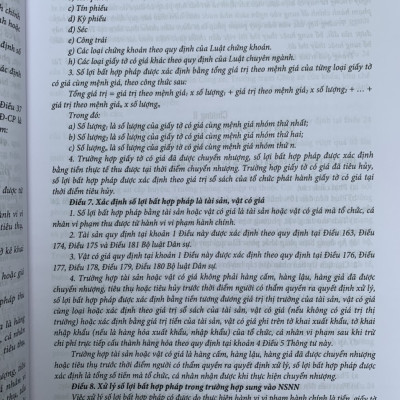 Chỉ dẫn tra cứu và áp dụng pháp luật về xử lý vi phạm hành chính  (được sửa đổi, bổ sung năm 2020) - Quyển 1 và Quyển 2