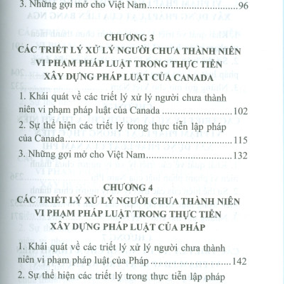Triết Lý Xử Lý Người Chưa Thành Niên Vi Phạm Và Thực Tiễn Xây Dựng Pháp Luật Trên Thế Giới (Sách chuyên khảo) - TS. Đào Lệ Thu chủ biên